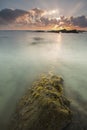 Kemasik beach mossy Royalty Free Stock Photo