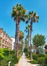 Kemer, Antalya, Turkey - July 08, 2021: Alva Donna World Palace, an alley with tall palm trees that leads to the sea Royalty Free Stock Photo