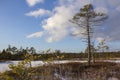 Kemeri national park Latvia in winter. Royalty Free Stock Photo