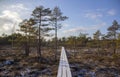 Kemeri national park Latvia in winter. Royalty Free Stock Photo