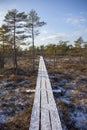 Kemeri national park Latvia in winter. Royalty Free Stock Photo