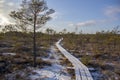 Kemeri national park Latvia in winter. Royalty Free Stock Photo