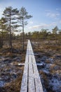 Kemeri national park Latvia in winter sunrise. Royalty Free Stock Photo