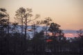 Kemeri national park Latvia in winter sunrise. Royalty Free Stock Photo