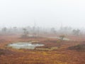 Kemeri National Park