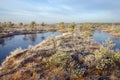 Kemeri National Park Royalty Free Stock Photo