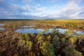 Kemeri swamp landscape