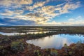 Kemeri swamp landscape