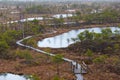 Kemeri swamp landscape