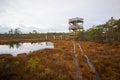 Kemeri swamp landscape