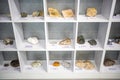 Kemerovo, Russia - May 5, 2022: Mineralogical museum in Kemerovo State University. Natural stone collection