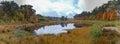 Kempen forest and small forest lake in North Brabant, Netherland