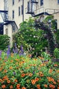 Kemper Center Flower Garden