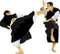 The Kempo Japanese Chinese Martial Art Royalty Free Stock Photo