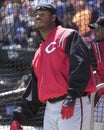 Ken Griffey, Jr., Cincinnati Reds