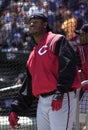 Ken Griffey Jr of the Cincinnati Reds