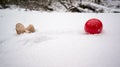 Kendama in snow