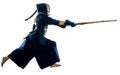 Kendo martial arts fighters silhouette isolated white bacground Royalty Free Stock Photo