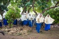 Schoolgirls in jihab gathering on a schoolyard