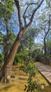 Keneddy linear park, guayaquil, ecuador Royalty Free Stock Photo
