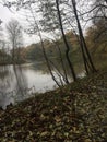 Kenigsberg autumn forest, lake, park