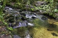 Kennall river in Kennall Vale Nature Reserve, Ponsanooth, Cornwall, UK