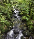 Kennall river in Kennall Vale Nature Reserve, Ponsanooth, Cornwall, UK