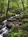 Kennall river in Kennall Vale Nature Reserve, Ponsanooth, Cornwall, UK