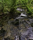 Kennall River in Kennall Vale Nature Reserve, Ponsanooth, Cornwall, UK