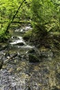 Kennall River in Kennall Vale Nature Reserve, Ponsanooth, Cornwall, UK