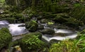 Kennall river in Kennall Vale Nature Reserve, Ponsanooth, Cornwall, United Kingdom
