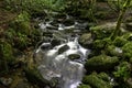 Kennall river in Kennall Vale Nature Reserve, Ponsanooth, Cornwall, UK