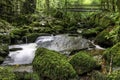 Kennall River in Kennall Vale Nature Reserve, Ponsanooth, Cornwall, UK