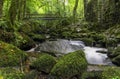 Kennall river in Kennall Vale Nature Reserve, Ponsanooth, Cornwall, United Kingdom