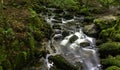 Kennall river in Kennall Vale Nature Reserve, Ponsanooth, Cornwall, United Kingdom