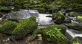 Kennall river in Kennall Vale Nature Reserve, Ponsanooth, Cornwall, United Kingdom