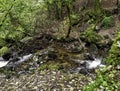 Kennall river in Kennall Vale Nature Reserve, Ponsanooth, Cornwall, UK