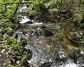 Kennall river in Kennall Vale Nature Reserve, Ponsanooth, Cornwall, UK