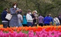 Kenneth Square, Pennsylvania, U.S.A - April 17, 2021 - Visitors wearing mask walking around a garden with beautiful tulips