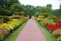 Kenneth Square, Pennsylvania, U.S - August 2, 2023 - A couple walking through a beautiful flower garden in the summer