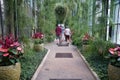 Kenneth Square, Pennsylvania, U.S - August 2, 2023 - A group of people walking through a beautiful indoor garden in the summer