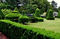 Kennett Square, PA: Longwood Gardens Topiary Trees Royalty Free Stock Photo