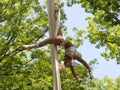 Beautiful female aerial silk performer at a Renaissance Faire