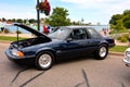 Black Mustang 5.0 at the annual Kenosha Wisconsin Car Show