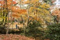 Kenroku-en gardens in Kanazawa, Japan Royalty Free Stock Photo