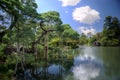 Kenroku-en - Japanese garden in Kanazawa, Japan Royalty Free Stock Photo