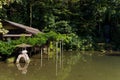 Kenrokuen garden in Kanazawa of Japan Royalty Free Stock Photo