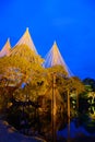 Kenrokuen Garden at night in Kanazawa, Japan