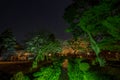 Kenrokuen gardens by night, Kanazawa, Japan Royalty Free Stock Photo