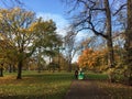 LONDON, UK - 09.11.2017: Kensington Gardens Park